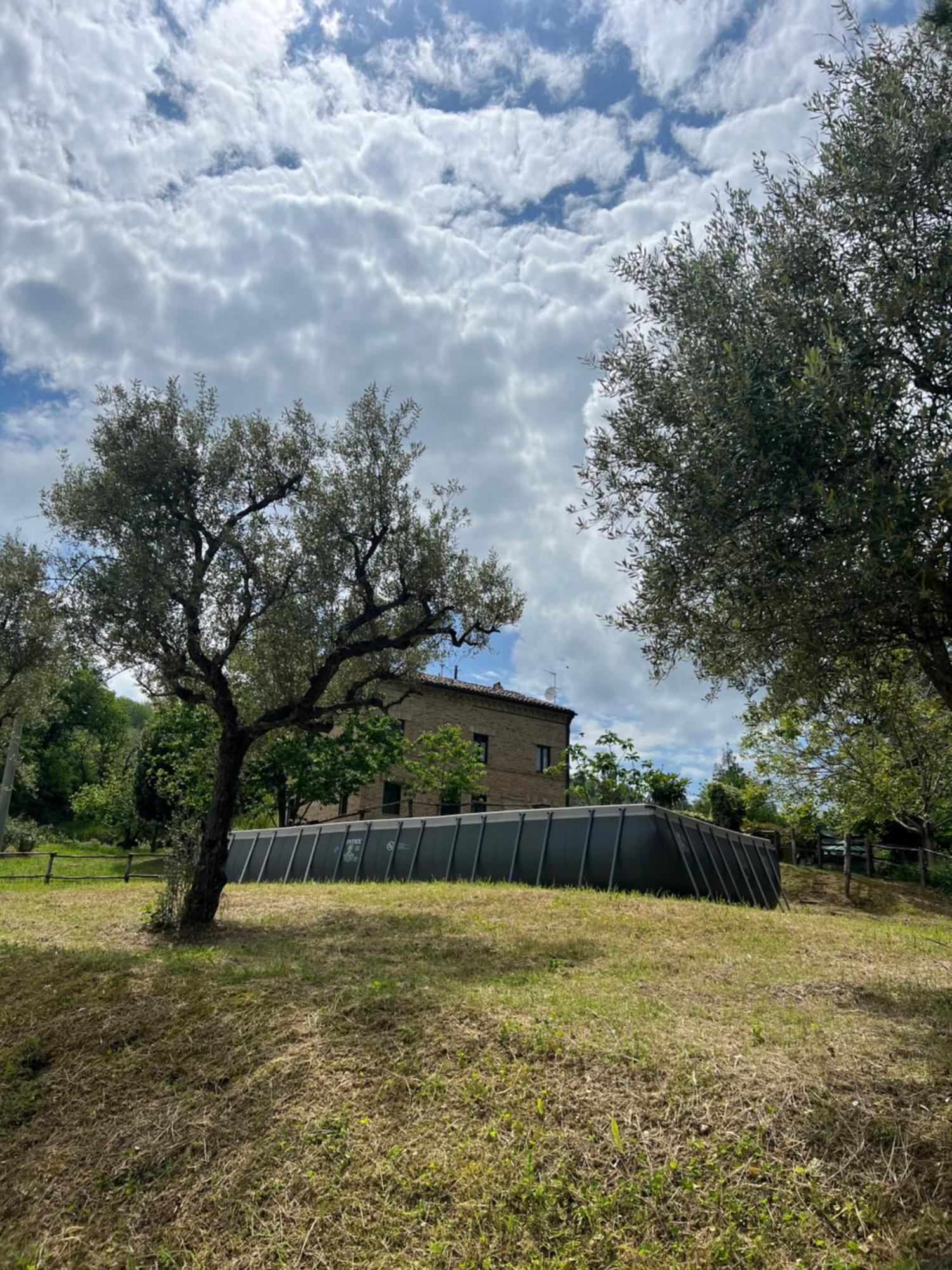 Tenuta Gran Bosco Loro Piceno Extérieur photo