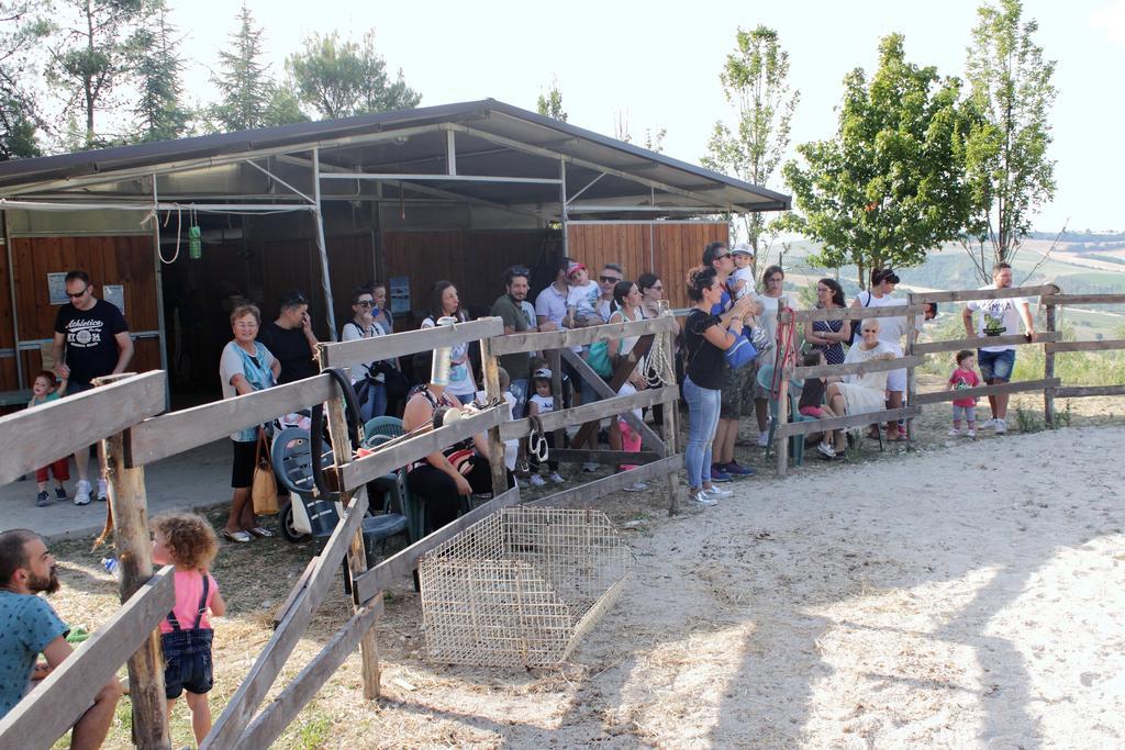 Tenuta Gran Bosco Loro Piceno Extérieur photo