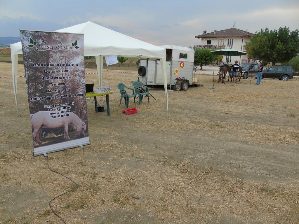 Tenuta Gran Bosco Loro Piceno Extérieur photo