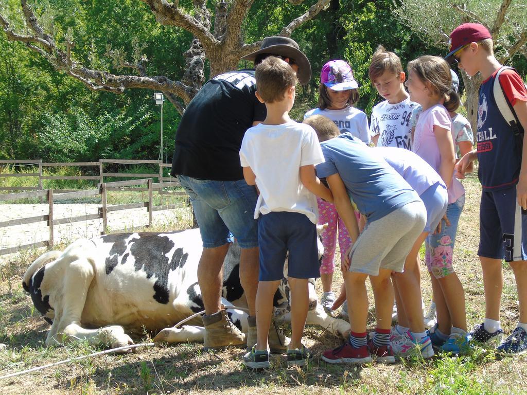 Tenuta Gran Bosco Loro Piceno Extérieur photo