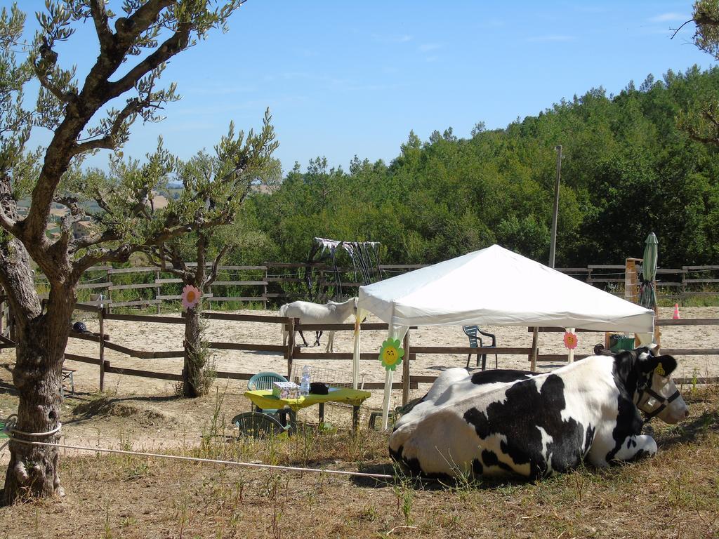 Tenuta Gran Bosco Loro Piceno Extérieur photo