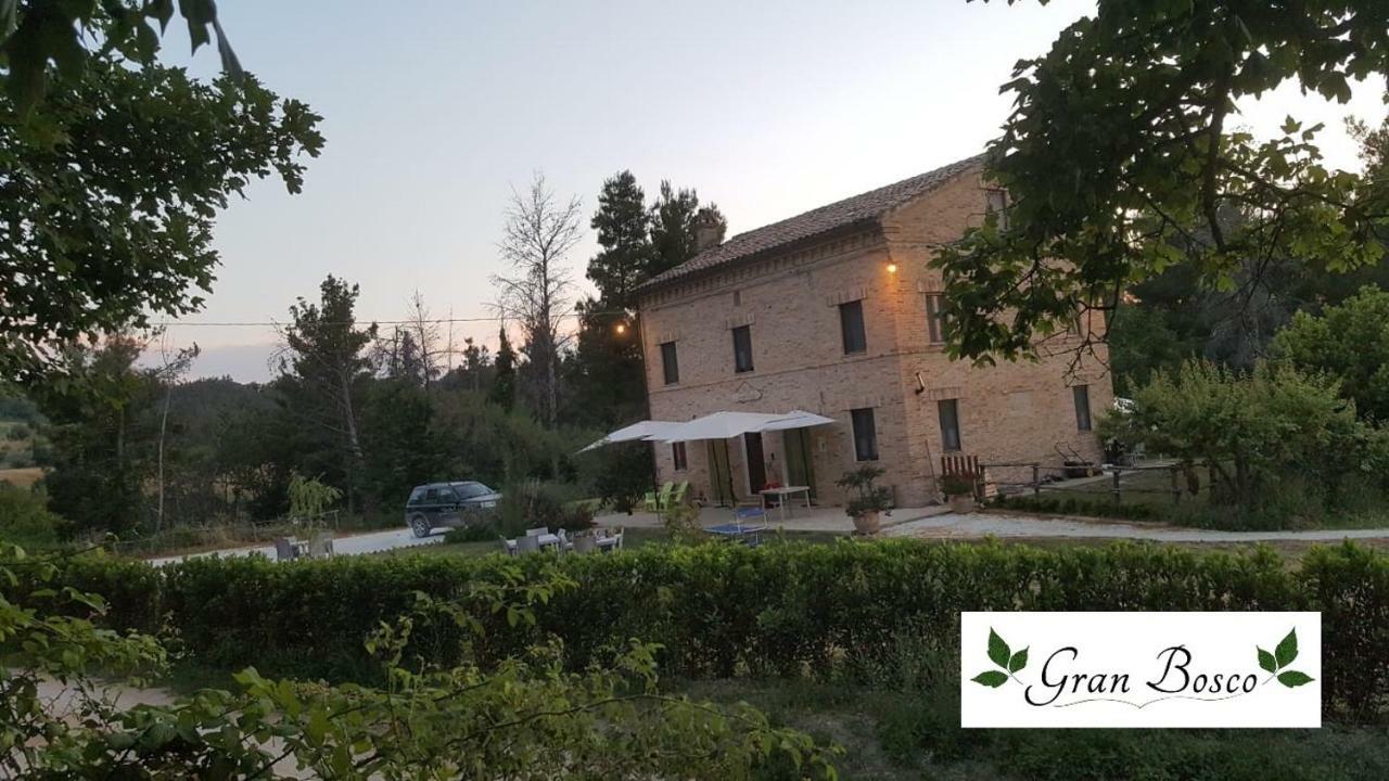 Tenuta Gran Bosco Loro Piceno Extérieur photo
